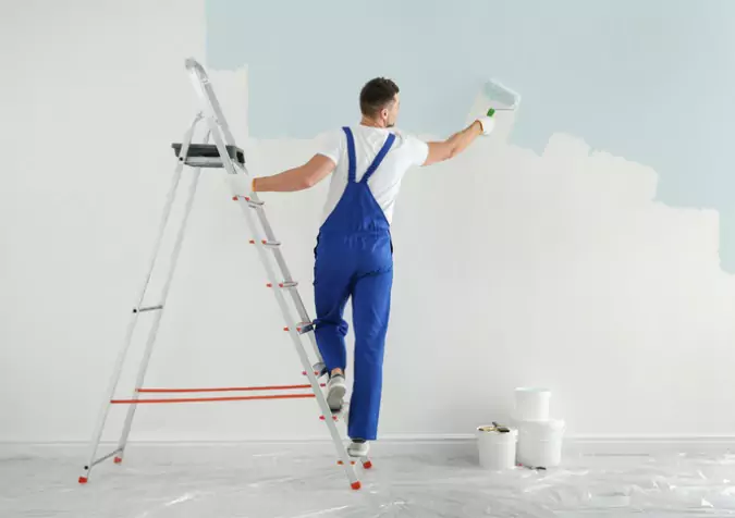 A Professional Painter is Always Best!